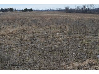 24 Grassland Acres - 20+/- Acres Wooded & 24+/- Acres Grassland, LAND AUCTION